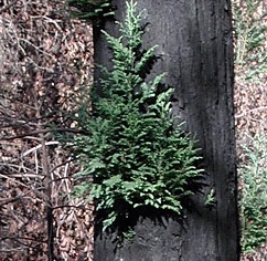 BF475A3A-AF20-41E2-A85A-DE88B3479195-4589-00000B040CC61B3F_tmp